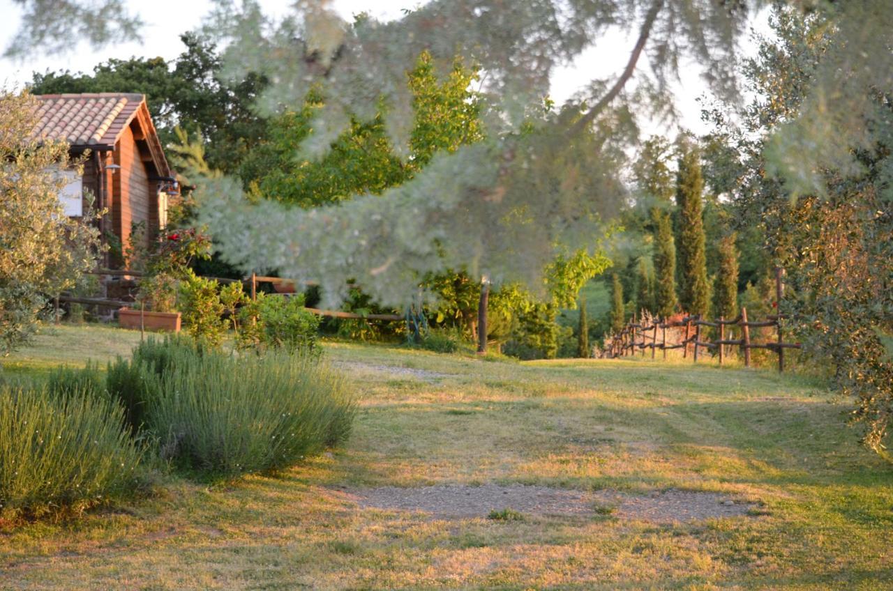 Podere Delle Rose Torre San Severo ภายนอก รูปภาพ