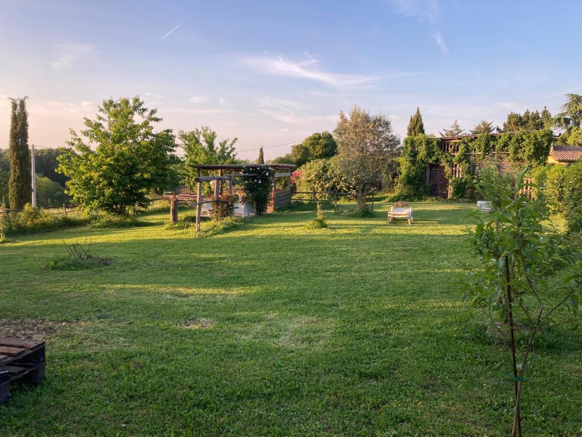 Podere Delle Rose Torre San Severo ภายนอก รูปภาพ