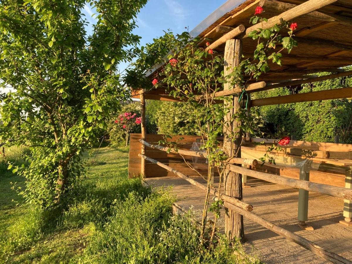 Podere Delle Rose Torre San Severo ภายนอก รูปภาพ