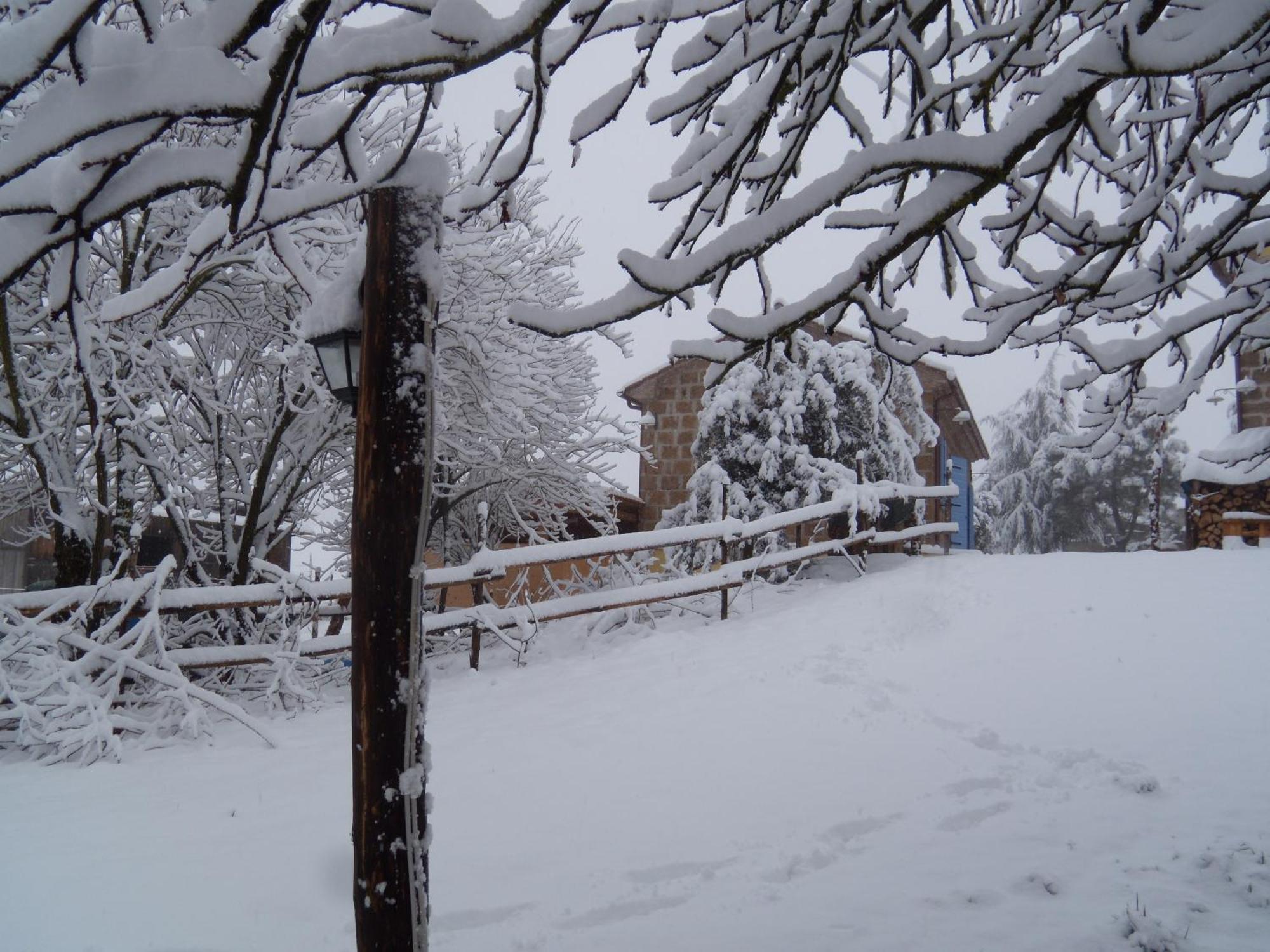 Podere Delle Rose Torre San Severo ภายนอก รูปภาพ