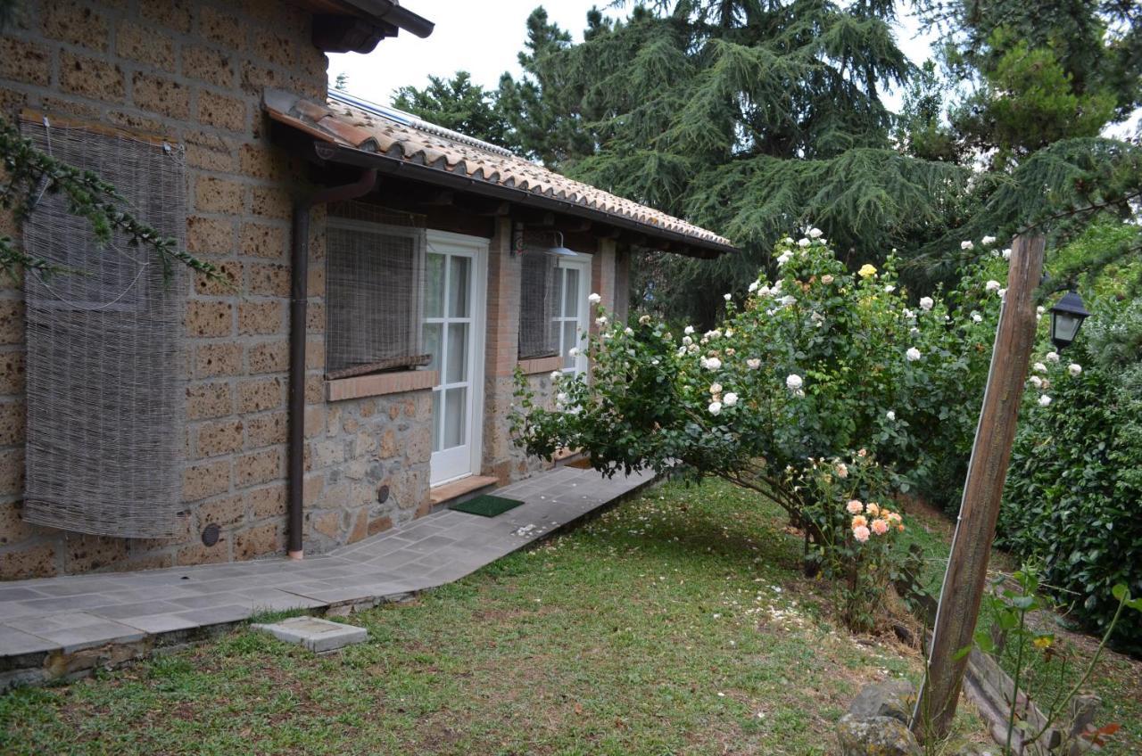 Podere Delle Rose Torre San Severo ภายนอก รูปภาพ